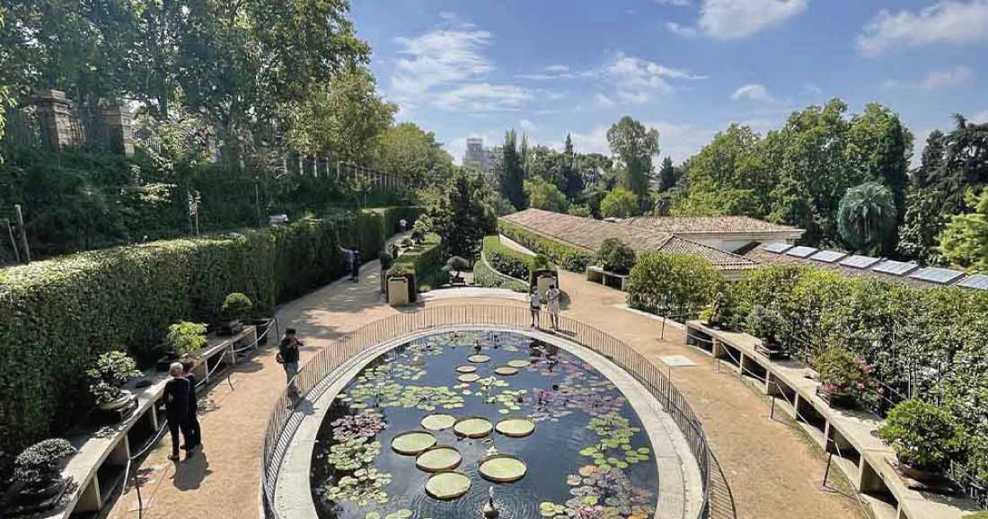 REAL-JARDÍN-BOTÁNICO-DE-MADRID