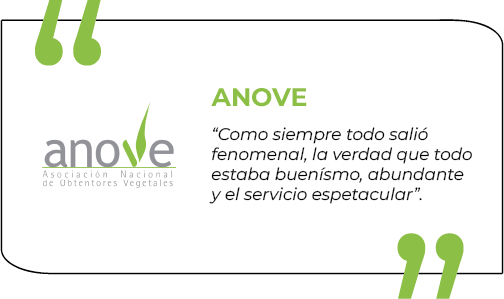 Comentario MC (14)