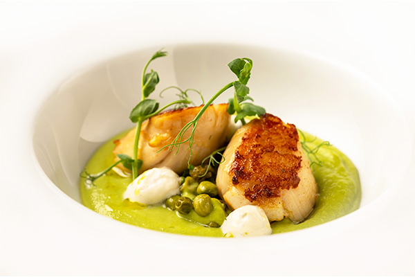 Crema fina de guisantes y curry verde con vieira soasada salicornia
