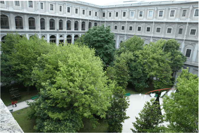 museo reina sofia eventos de empresas 