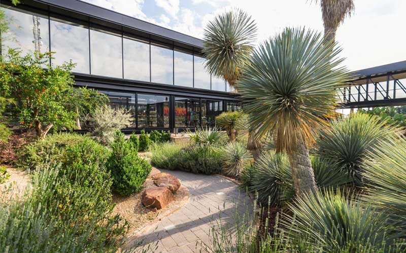 Desert City jardín