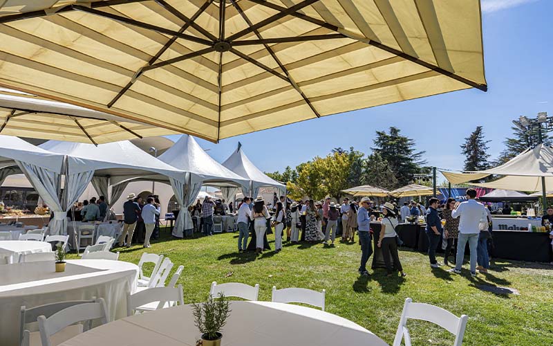 Evento corporativo en verano